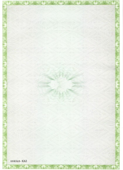 квал. аттестат_движимость Степан)_page-0002.jpg